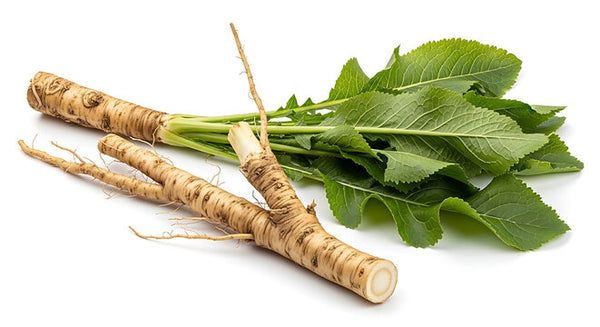 Cleavers & Burdock