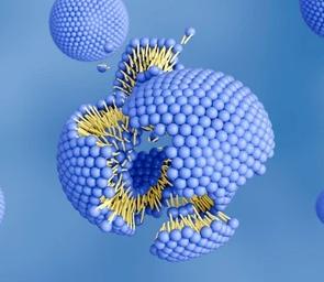 Liposomal Absorption