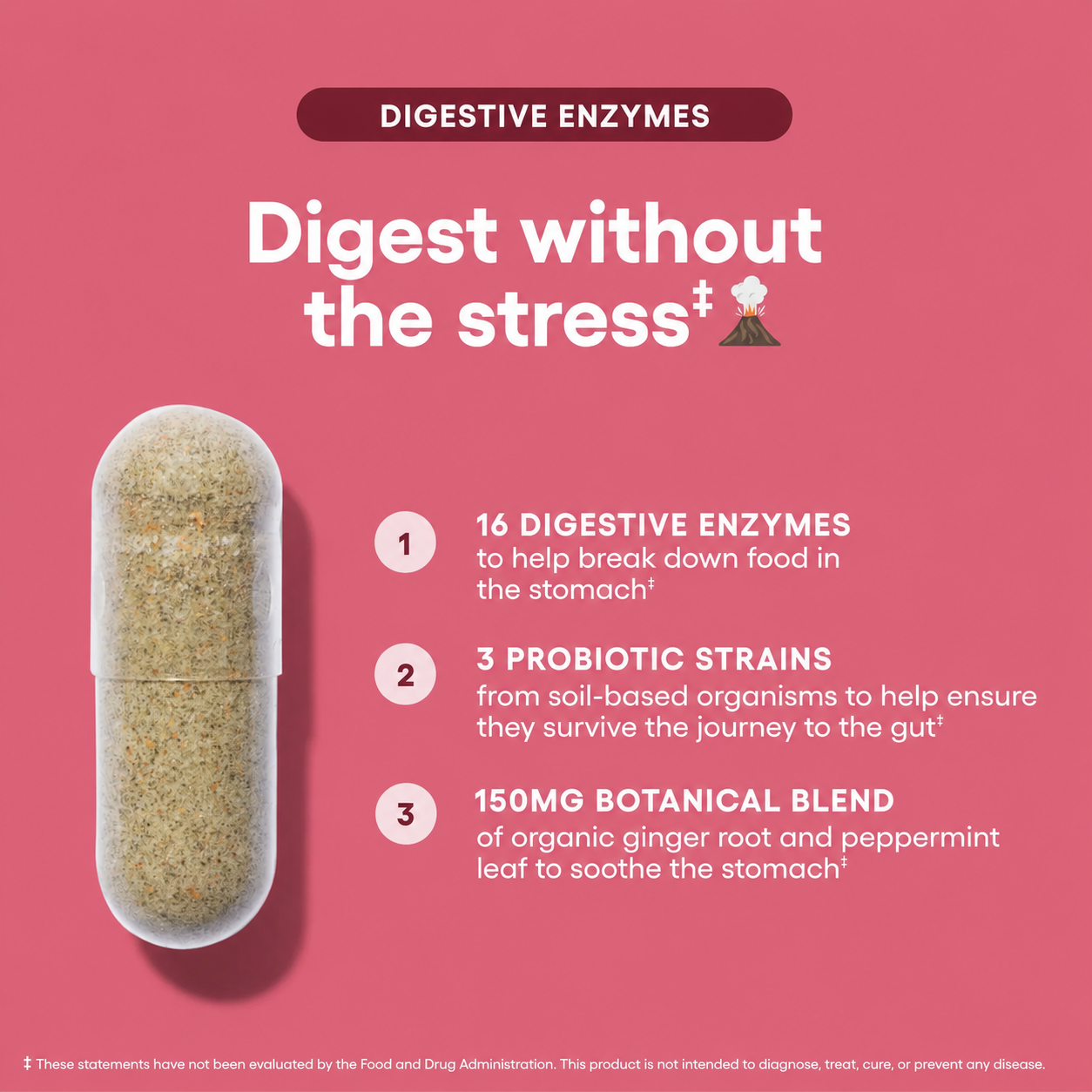 Digestive Enzymes