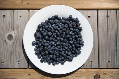 Antioxidant Defense