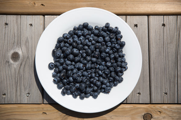 Antioxidant Defense