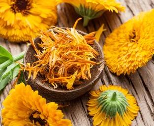 Dandelion & Calendula