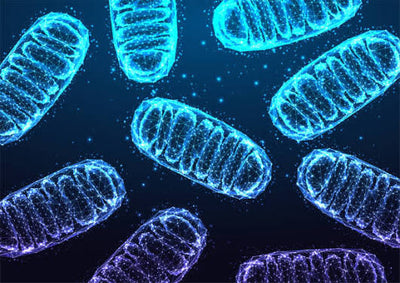 Cellular Protection