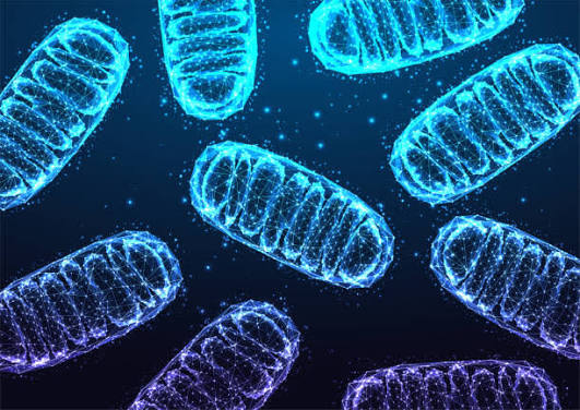 Cellular Protection