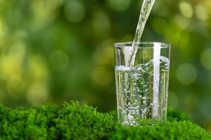 Dual Action Gut Balance